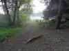 View The Natuur Album