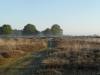 View The Natuur Album
